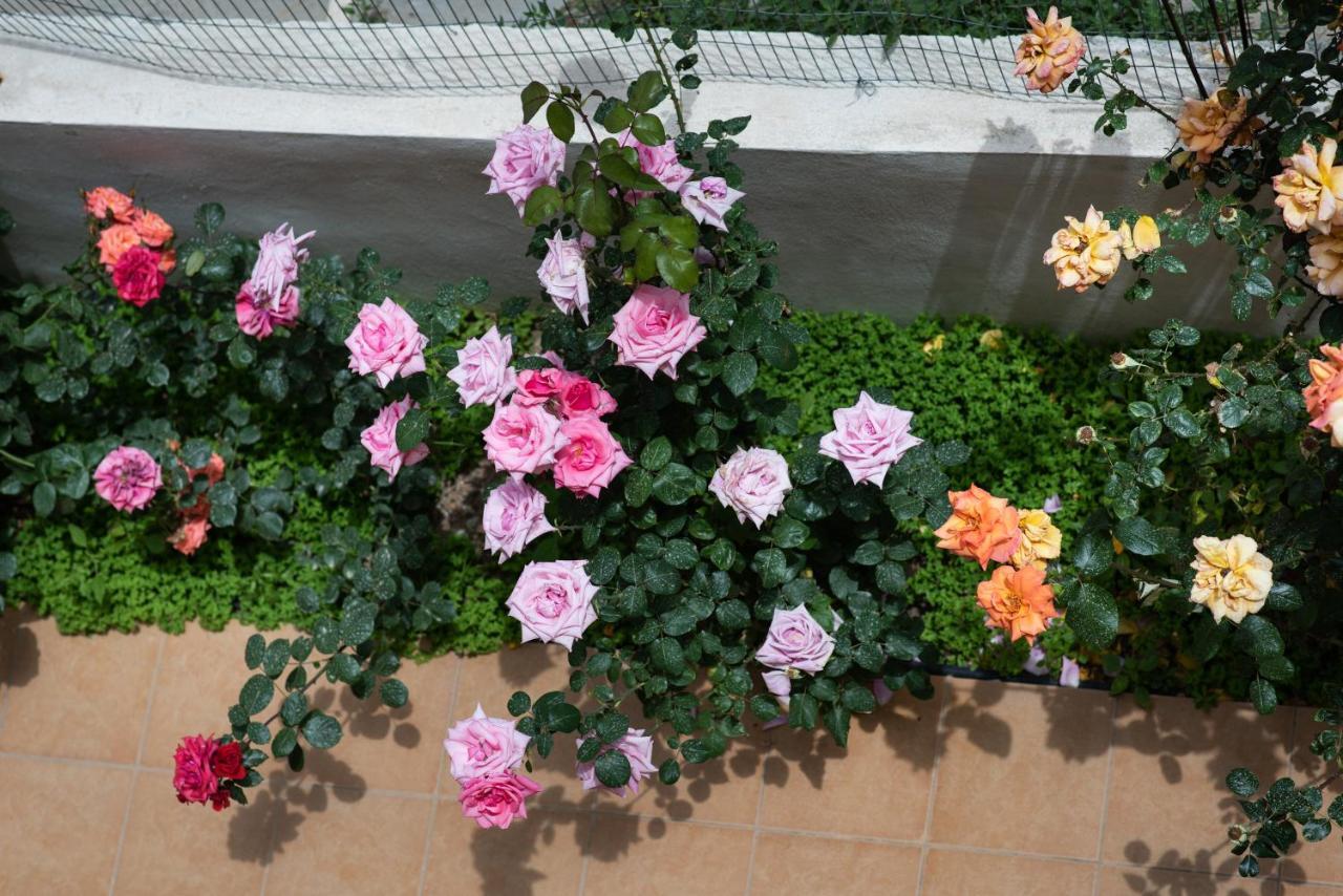 Dreamy Holidays Apartment Chania  Exterior photo